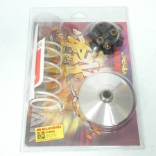 Variateur Malossi pour Scooter