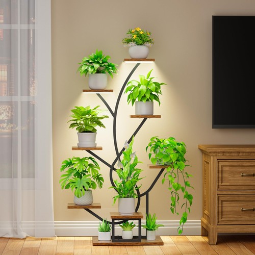 Support pour plantes avec