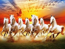 PLAQUE MÉTAL  CAMION CHEVAL