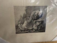 Etching 1875 Poule Protegeant Ses Poussins 