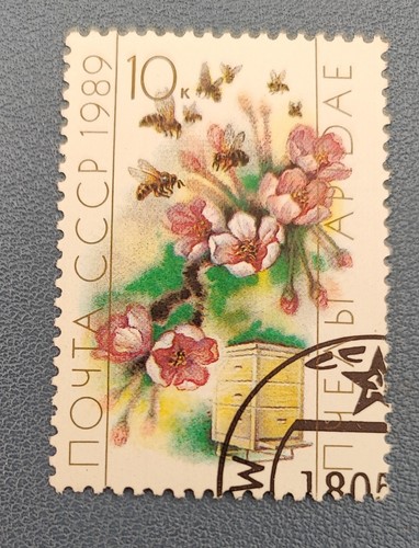 Timbre russie cccp ruissie - cccp,