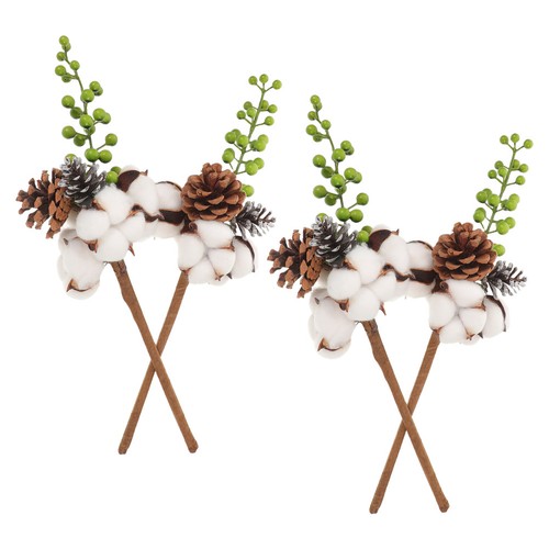 Pcs plante coton - 4, de