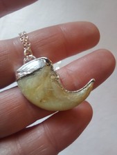 Pendant 2 / Feline Claw - 925 Silver Chain - Wild & Handcrafted Coin