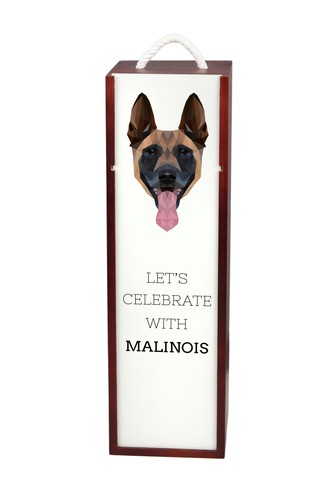 Berger belge malinois - belge,