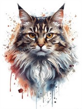 Photo A4 Chat Persan Art