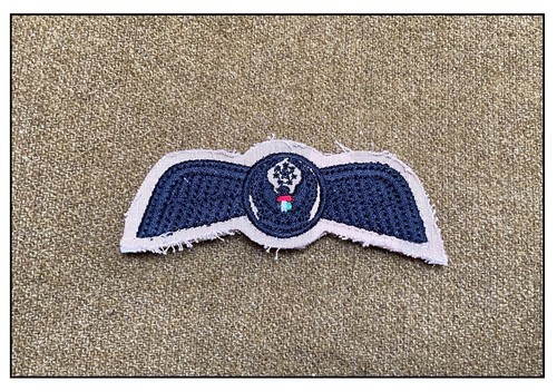 Brevet pilote para - para, airborne