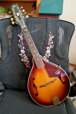 Beautiful Epiphone Flat
