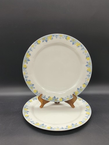 Grands plats villeroy boch - grands,