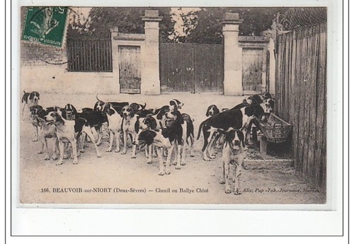 Beauvoir sur niort chenil ou - beauvoir,