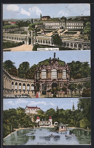 Carte postale dresde - postale, chenil