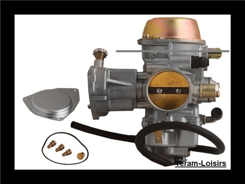 Carburateur pour yamaha rhino - carburateur,