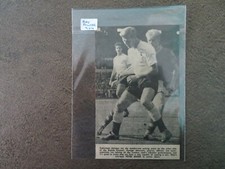 Pointeur Ray - Coupe signée