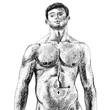 Dessin à l'encre original