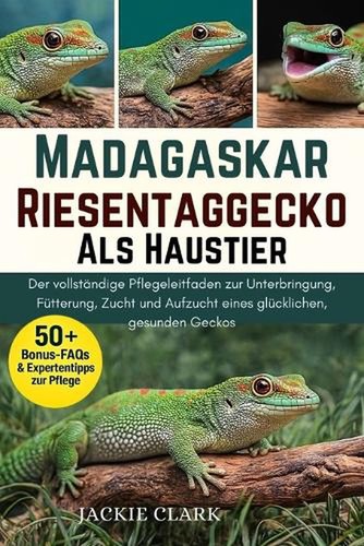 Madagaskar riesentaggecko als - madagaskar-riesentaggecko,