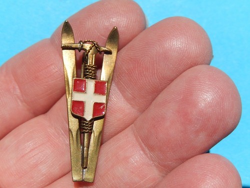 Insigne ski alpinisme savoie - ski,
