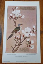 LITHOGRAPHIE TOURTERELLE SUR