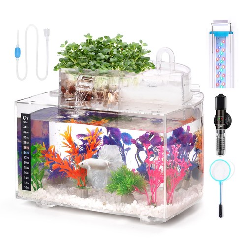 Betta kit aquarium - kit, d'aquarium
