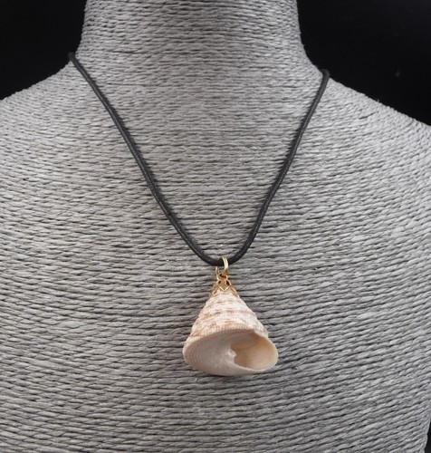 Collier coquillage de - collier,