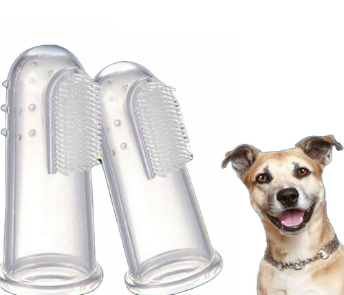 Brosse dents chien - brosse,