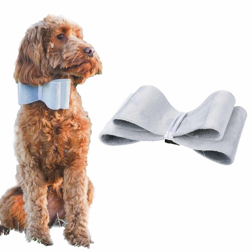 Noeud papillon argent festif