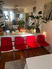  4 chaises Arper catifa 46