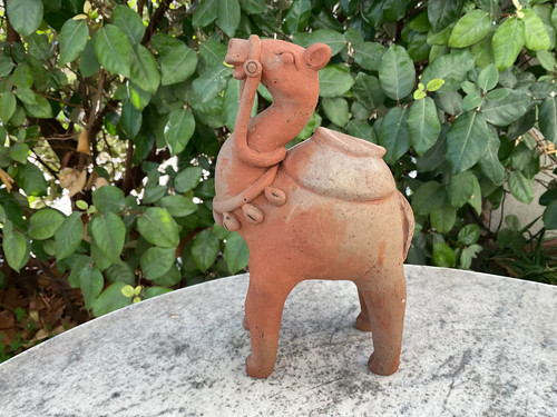 Chameaux terre cuite - chameaux, en
