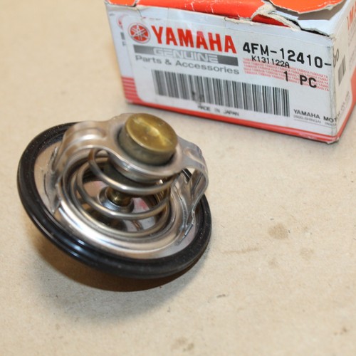 Thermostat eau fjr 1300 - d,