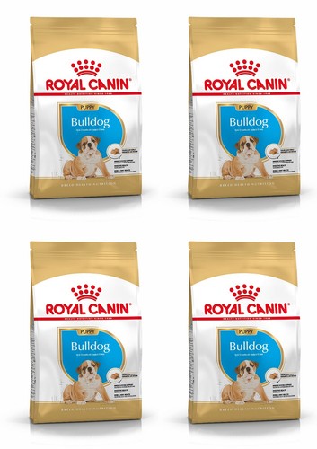 Bouledogue chiot nourriture - bouledogue,