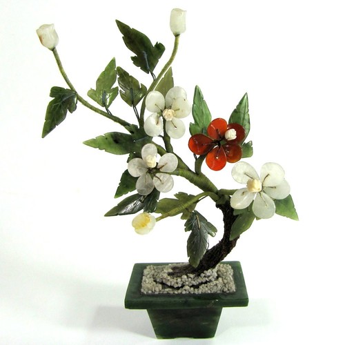 Bonsaï jade ancien chine - bonsaÏ,