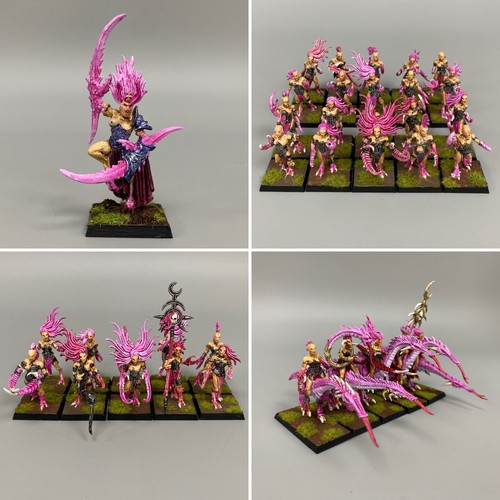 Chaos daemonette armée - daemonette,