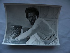 The Long Ships Richard