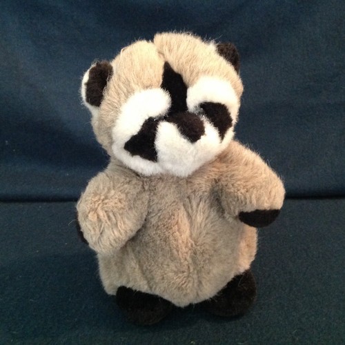 Plush raccoon - raccoon, (pel05/12/2-21b)