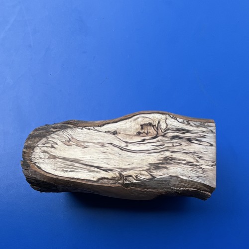 Bois eucalyptus échauffé