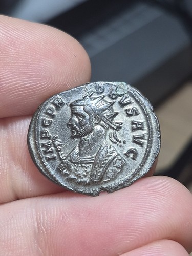 159 155 probus - #159-155,