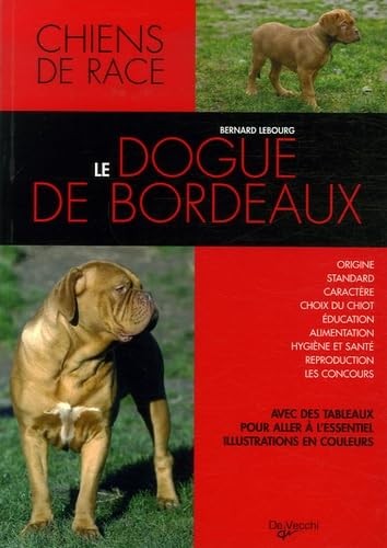 Dogue bordeaux - bordeaux,