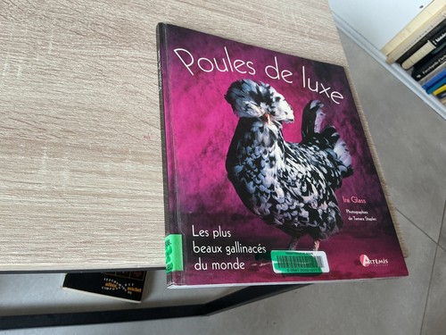 Poules luxe les - de, beaux