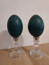PAIR de Œuf d’émeu