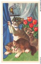 AQFP8-0567-CAT - the bird cage