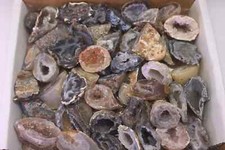 Oco Geode 1 Lb Lot Natural Polished Agate Crystals Druzy Geode Halves