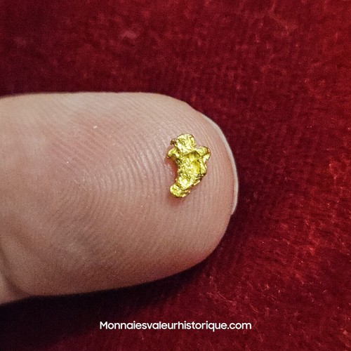 Pépite naturelle - pépite, d’or