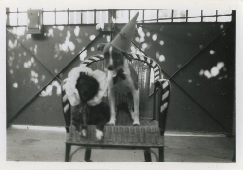 Photo ancienne vintage - ancienne,