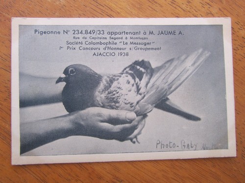 Allier montlucon postcard - 03,