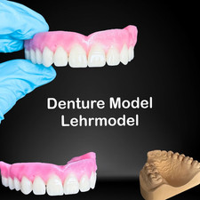 Premium DIY Prothèses Modèle ,DIY Lehrmodel,Dent Technique Dentaire,Schaumodell