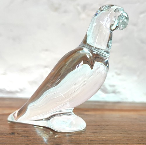Perruche cristal de - cristal,