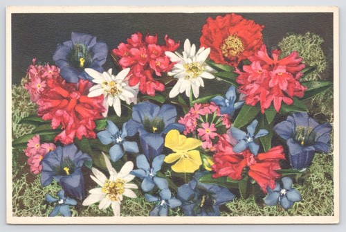 Flowers~Edition