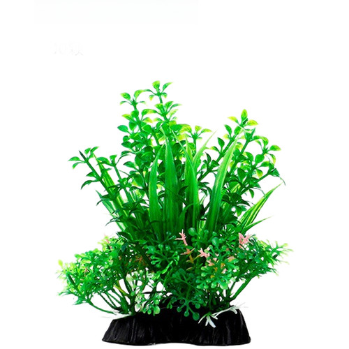 Plantes aquatiques