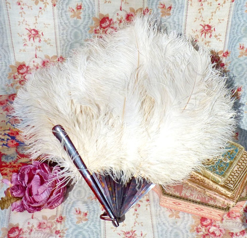 Ancien éventail plumes - ancien, en