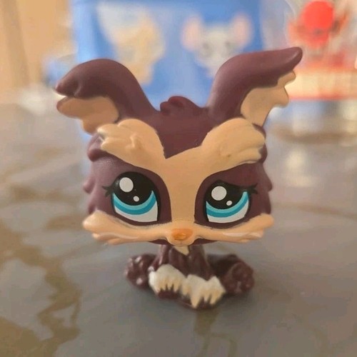 Hasbro littlest pet shop - littlest,