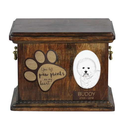 Bichon frise urne - frise, avec