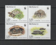 Monaco 1991 tortue d'Hermann